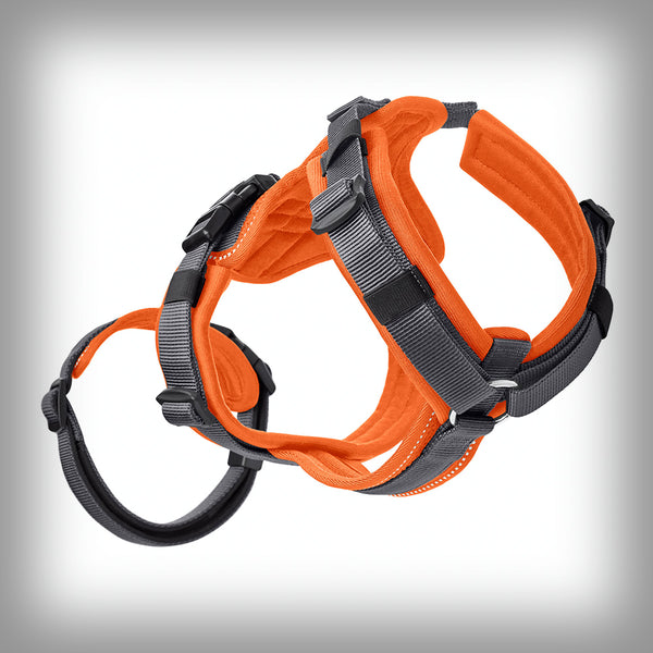 SICHERHEITSGESCHIRR MALDON SAVE