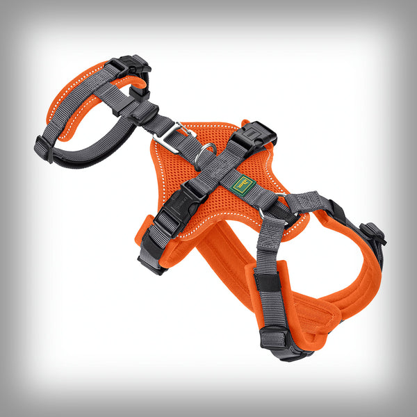 SICHERHEITSGESCHIRR MALDON SAVE