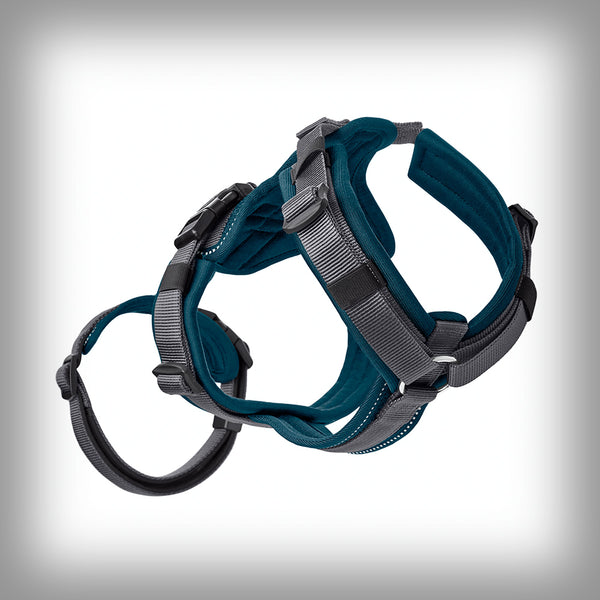 SICHERHEITSGESCHIRR MALDON SAVE