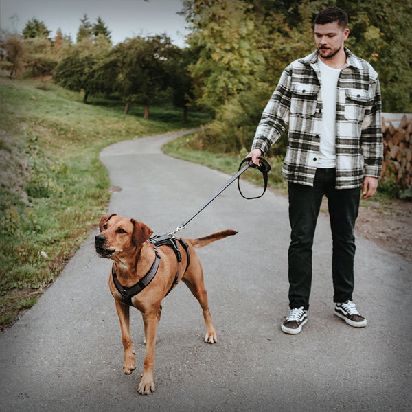 SICHERHEITSGESCHIRR MALDON SAVE