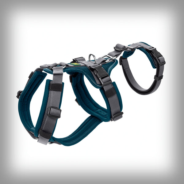 SICHERHEITSGESCHIRR MALDON SAVE