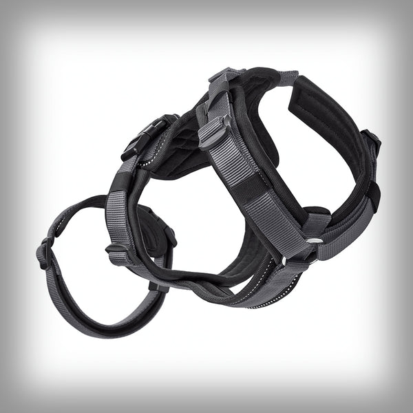 SICHERHEITSGESCHIRR MALDON SAVE