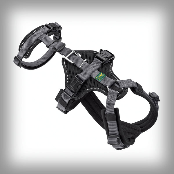 SICHERHEITSGESCHIRR MALDON SAVE