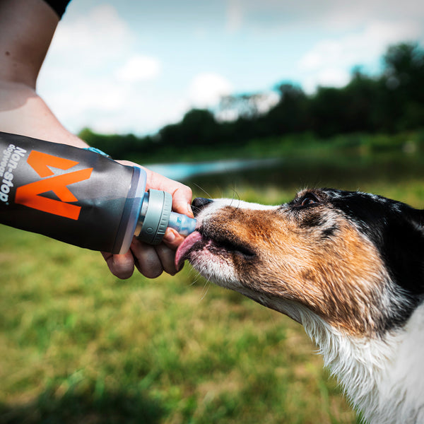 NON-STOP SOFTFLASK 500 ML