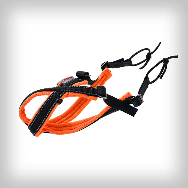 SLEDWORK SPEEDY GONHARNESS