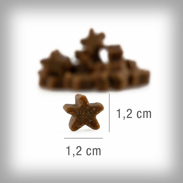 PLATINUM STARS LACHS SNACK