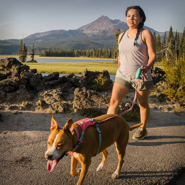 RUFFWEAR STASH MINI BAG (NEU)