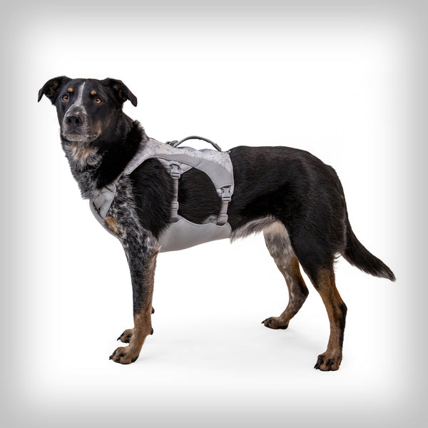 SWAMP COOLER COOLING DOG HARNESS