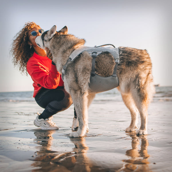 SWAMP COOLER COOLING DOG HARNESS