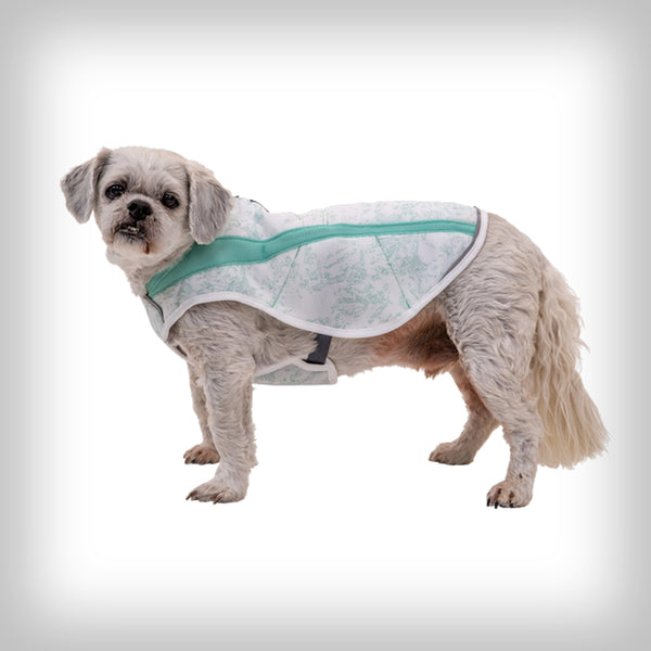 KÜHLWESTE SWAMP COOLER 2023