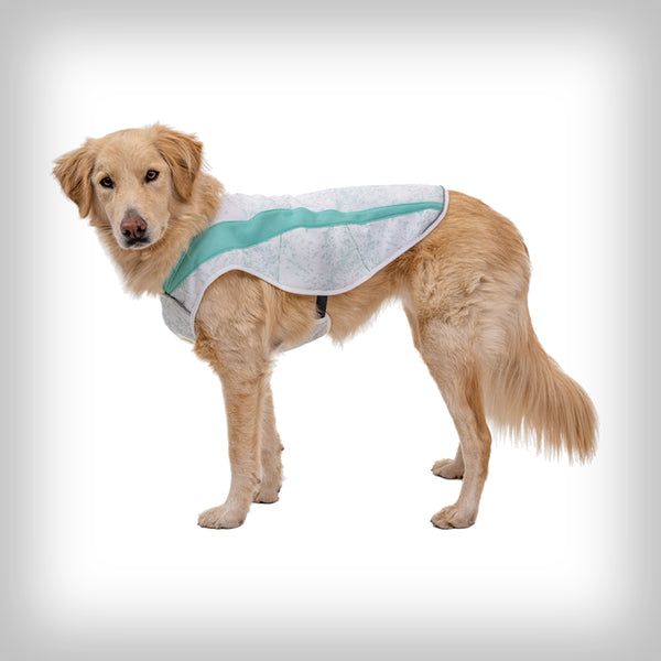 KÜHLWESTE SWAMP COOLER 2023