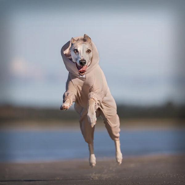 TRAIL QUEST FLEECE OVERALL