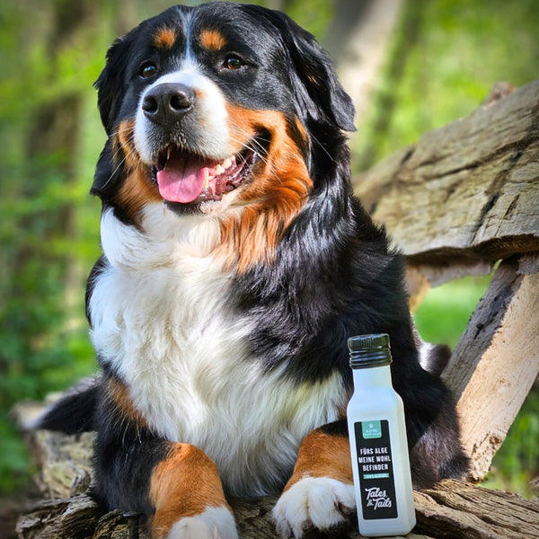 ALGE-MEINE WOHLBEFINDEN 100ML