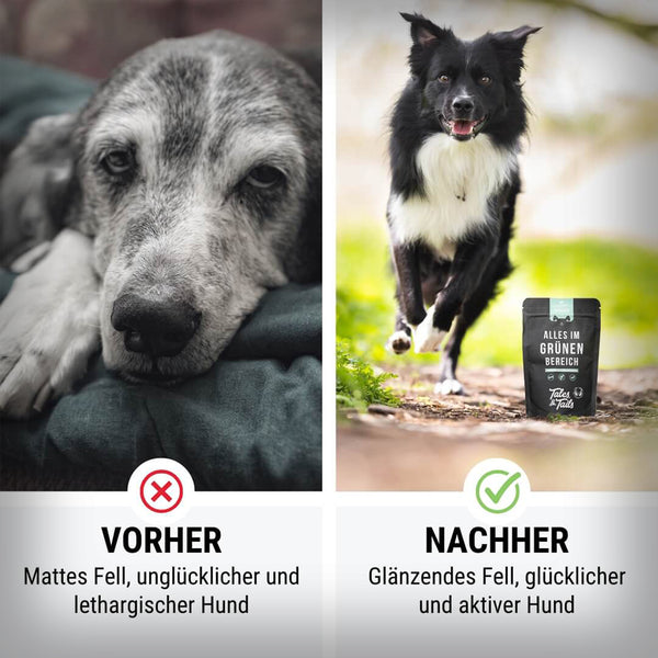 ALLES IM GRÜNEN BEREICH