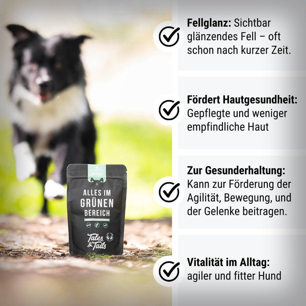 ALLES IM GRÜNEN BEREICH