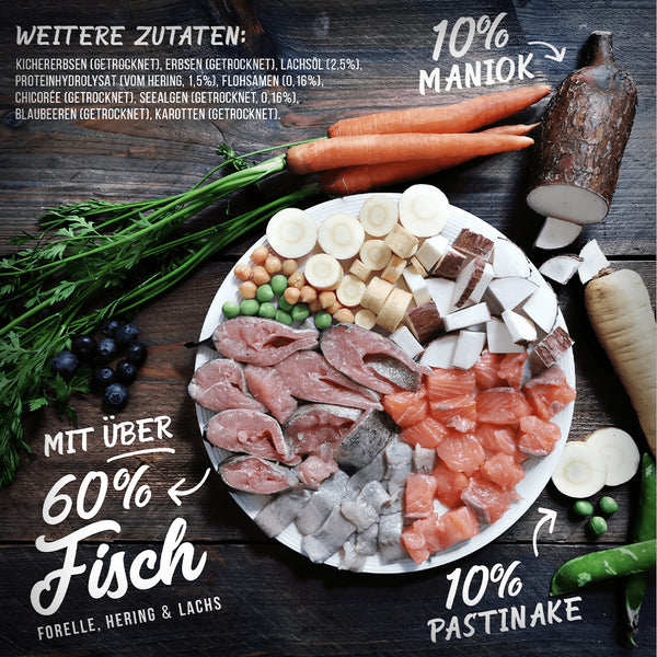 NOCH GANZ FISCH IM KOPP