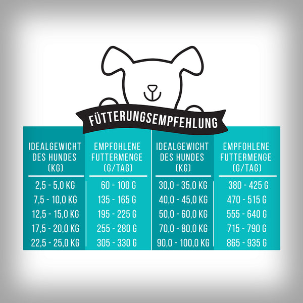 NOCH GANZ FISCH IM KOPP