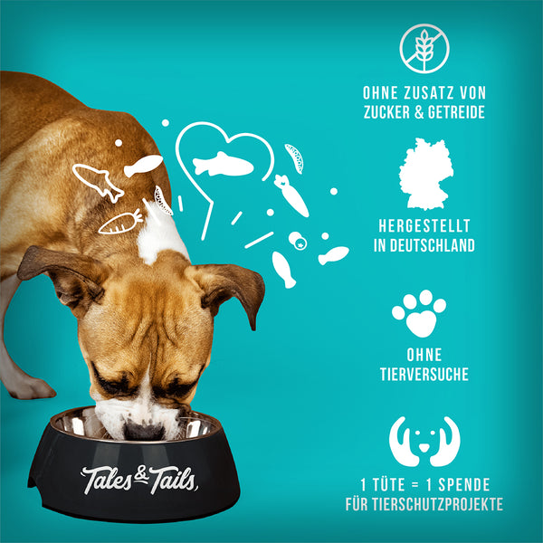 NOCH GANZ FISCH IM KOPP