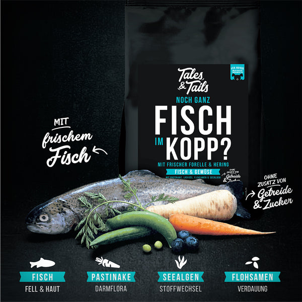 NOCH GANZ FISCH IM KOPP