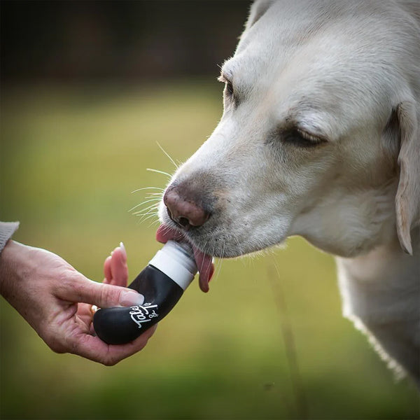 SCHLECK SCHLECK- FUTTERTUBE