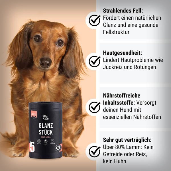 GLANZ STÜCK