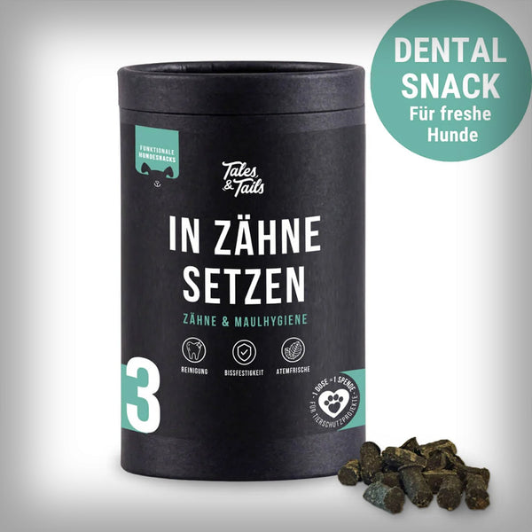 IN ZÄHNE SETZEN