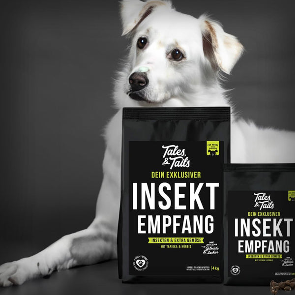 INSEKT-EMPFANG