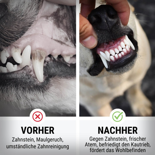 LAMM-TASTISCH INS-ZÄHNIERT 200GR