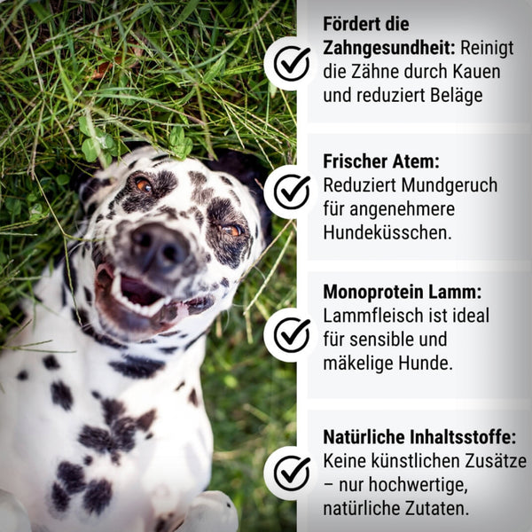 LAMM-TASTISCH INS-ZÄHNIERT 200GR