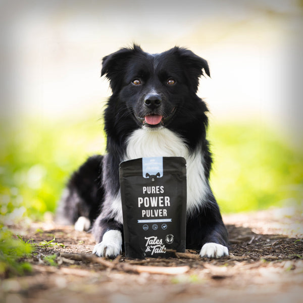 PURES POWER PULVER 200GR