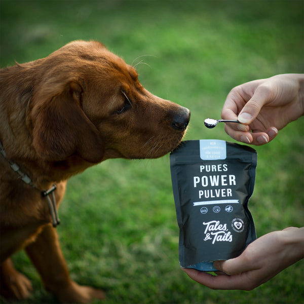 PURES POWER PULVER 200GR