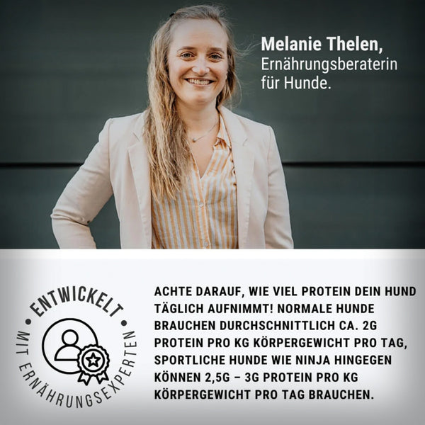 NINJA WAURRIOR 100 GR