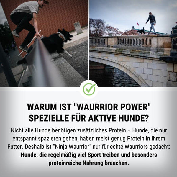 NINJA WAURRIOR 100 GR