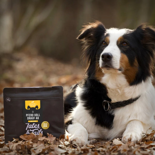 PFERD VOLL DRAUF AB 250GR