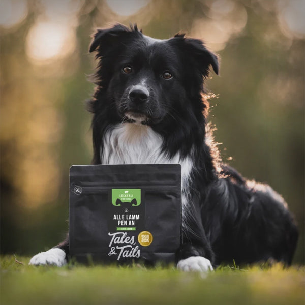 ALLE LAMM-PEN AN 250GR