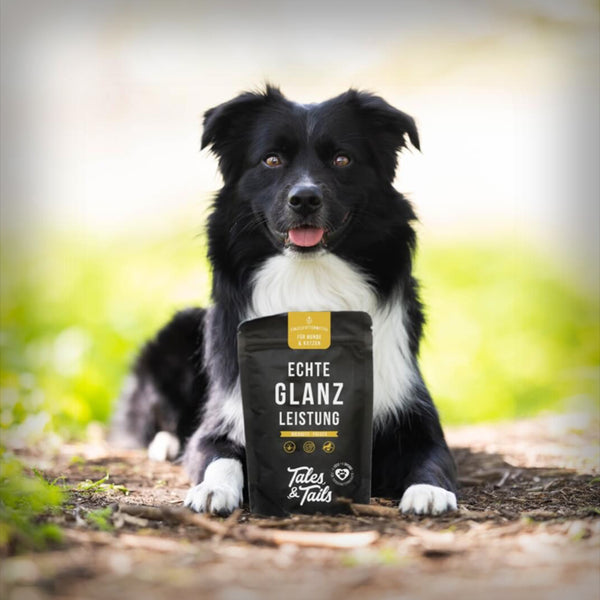 ECHTE GLANZLEISTUNG 100GR