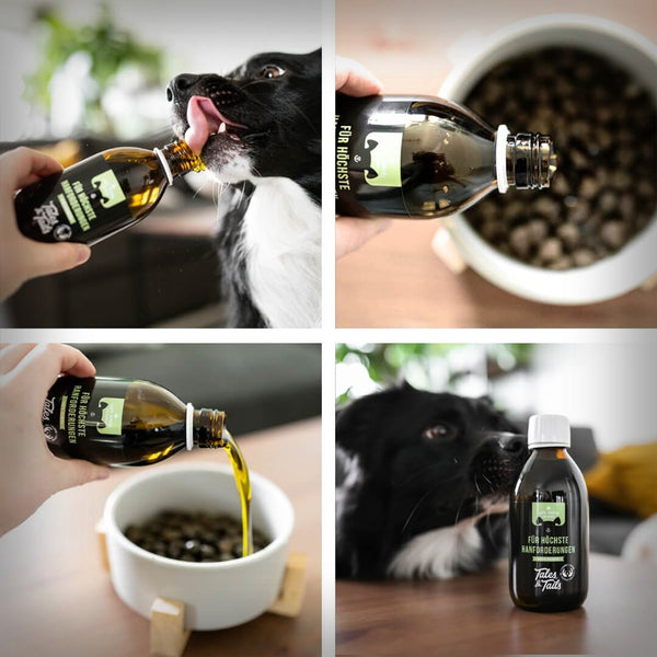 FÜR HÖCHSTE HANFORDERUNGEN