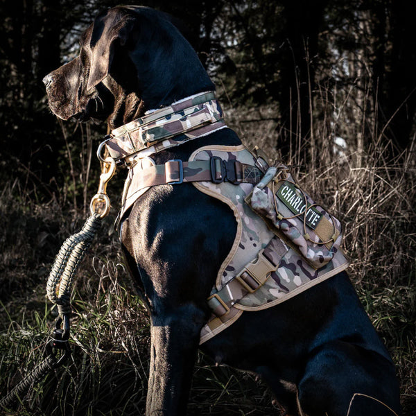 TASCHE FÜR ALLTRAIL CC-K9 HUNDEGESCHIRR