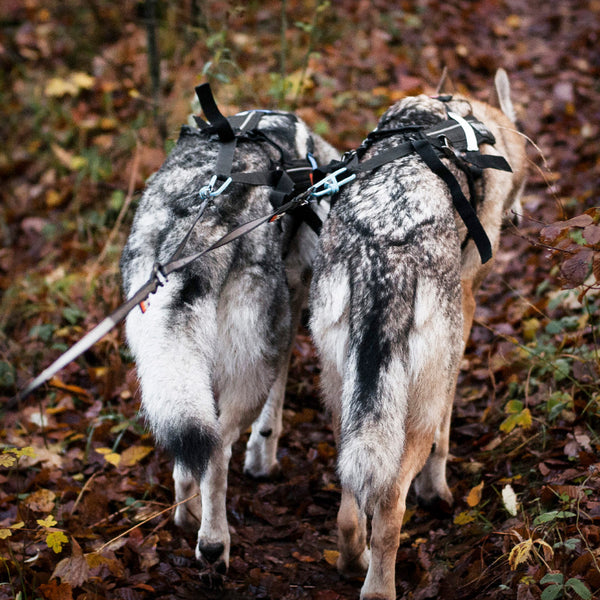 NON-STOP TOURING DOUBLE 50 CM