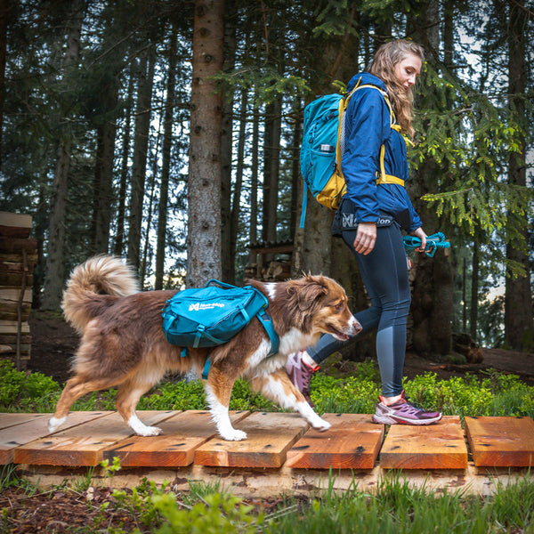 TRAIL QUEST HUNDERUCKSACK