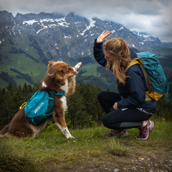 TRAIL QUEST HUNDERUCKSACK