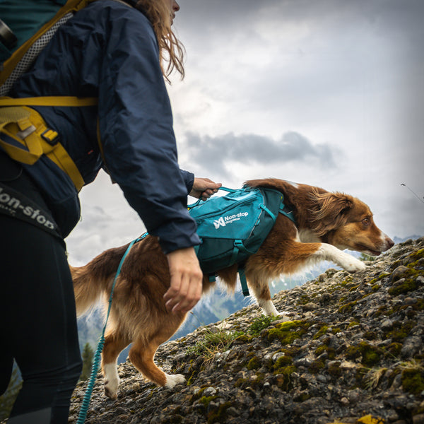 TRAIL QUEST HUNDERUCKSACK