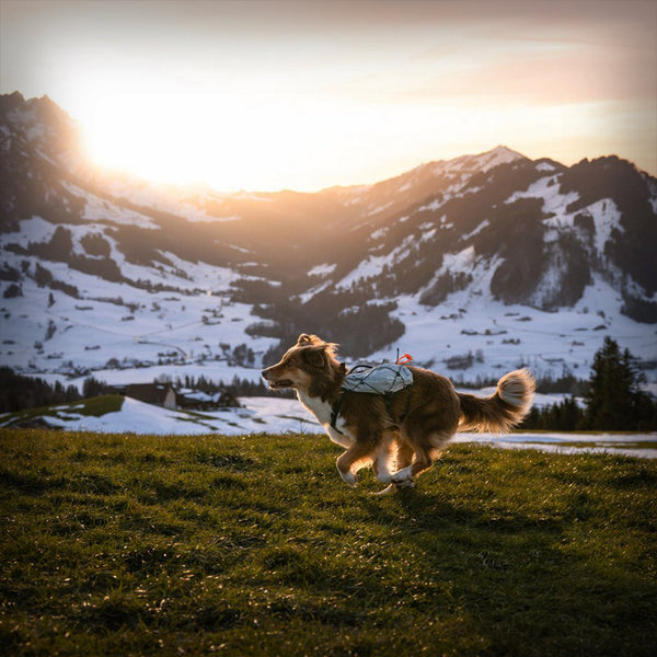NON-STOP TRAIL LIGHT BACKPACK