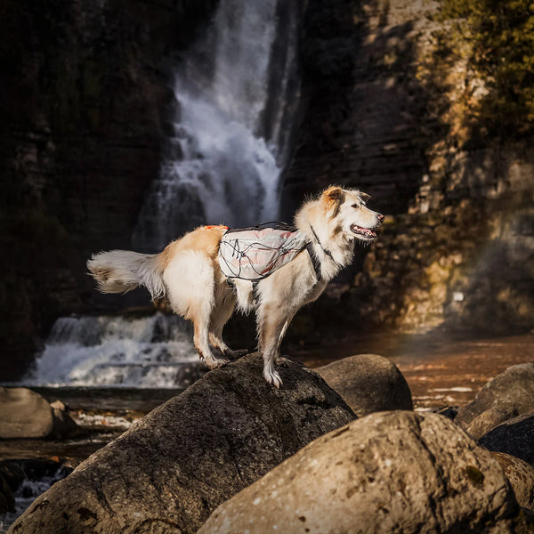 NON-STOP TRAIL LIGHT BACKPACK