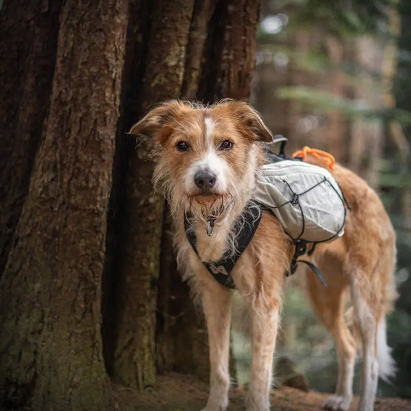 NON-STOP TRAIL LIGHT BACKPACK