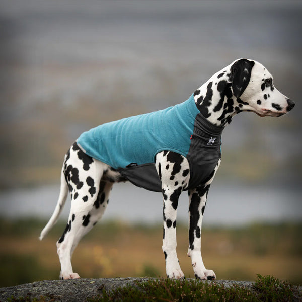 TRAIL QUEST FLEECE PULLOVER