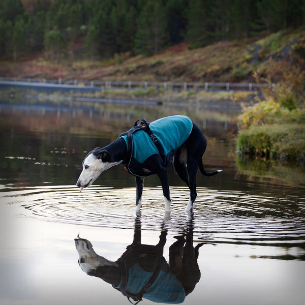 TRAIL QUEST FLEECE PULLOVER