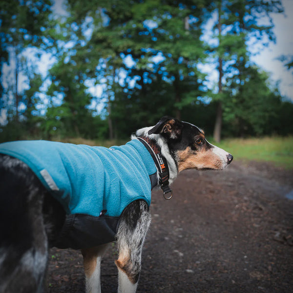 TRAIL QUEST FLEECE PULLOVER