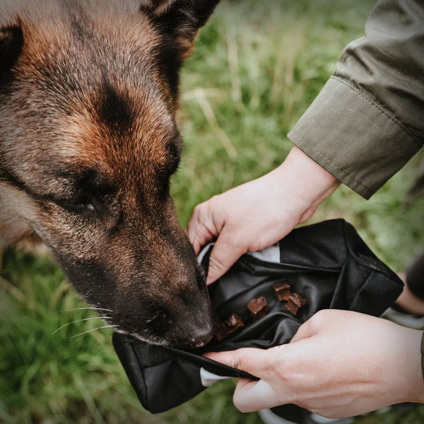HUNTER TRAINER SNACK DUMMY