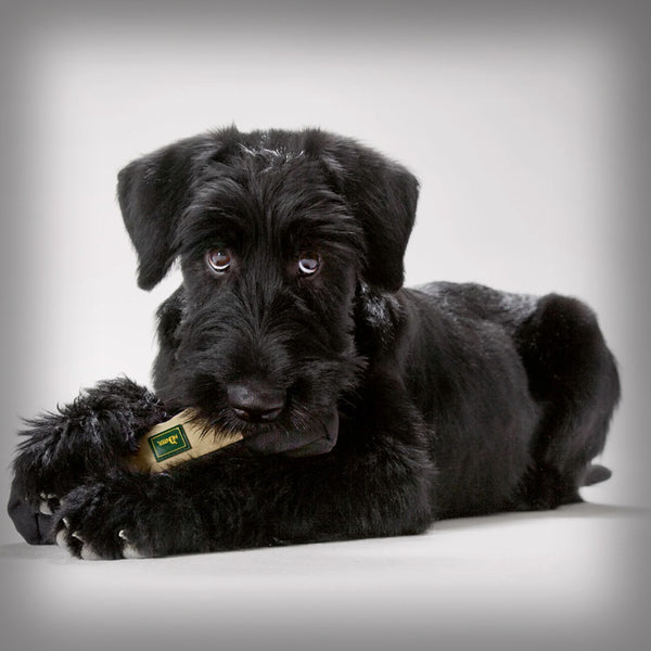 HUNTER TRAINER SNACK DUMMY